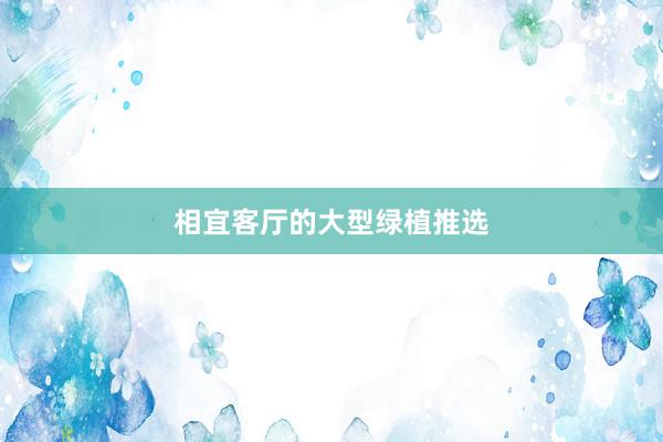 相宜客厅的大型绿植推选
